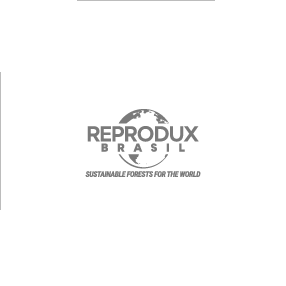 Logo Reprodux